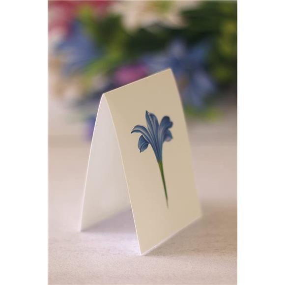Freshcut Paper Pop Up Cards,Lillies & Lupines, 12 inch Life Sized Forever Flower - Picture 5 of 6